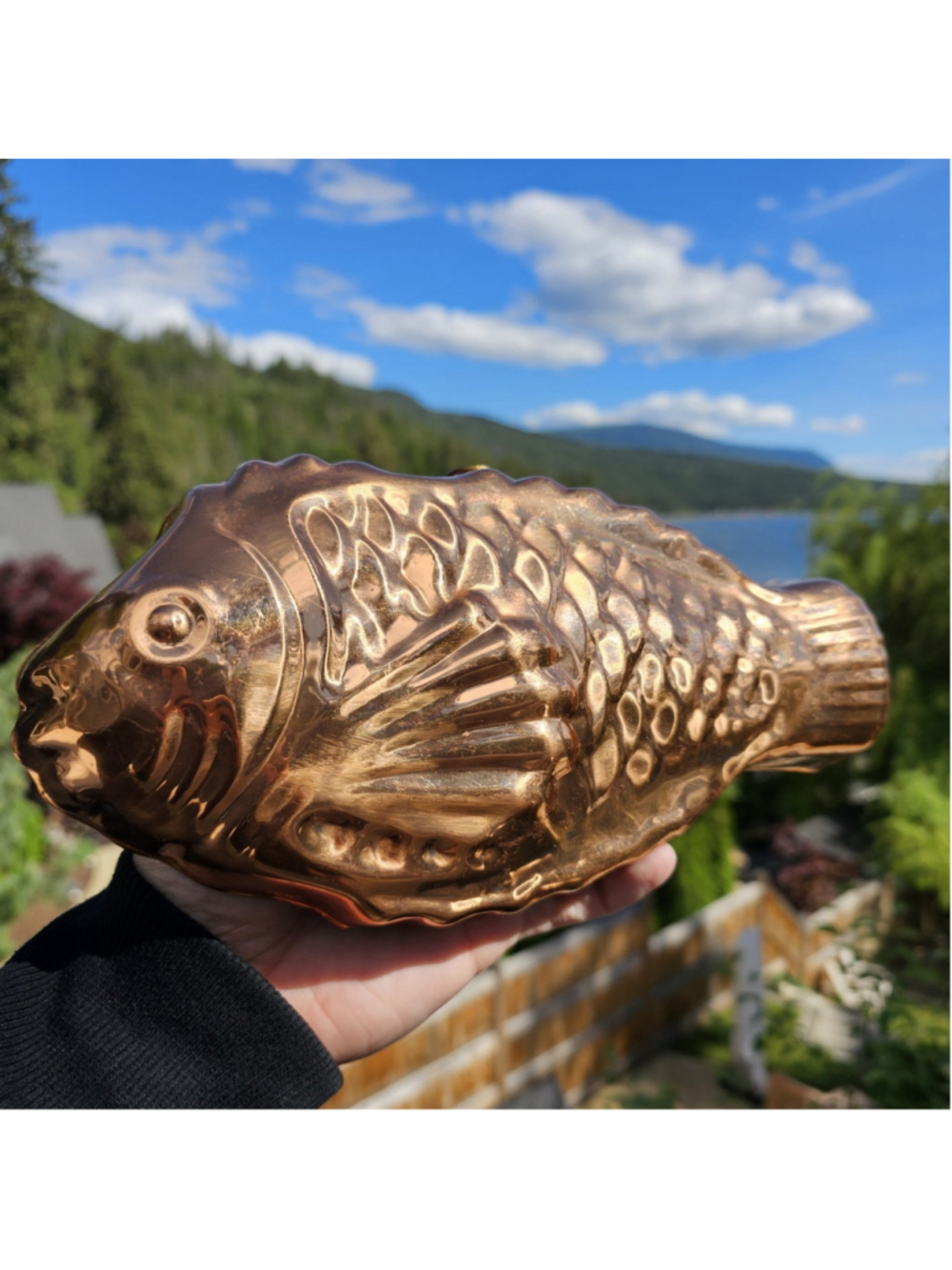 Vintage COPPER Tinned Fish Jello Baking Mold Wall Hanger